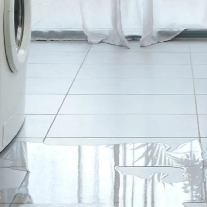 Appliance Leak Cleanup in Strasburg, VA