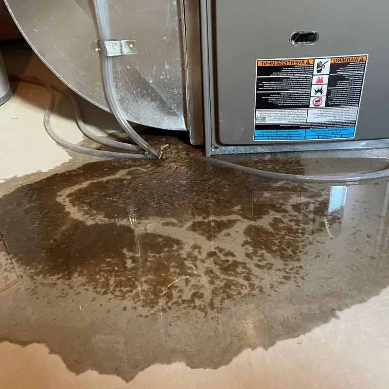 Pipe Burst and Leak Restoration in Strasburg, VA